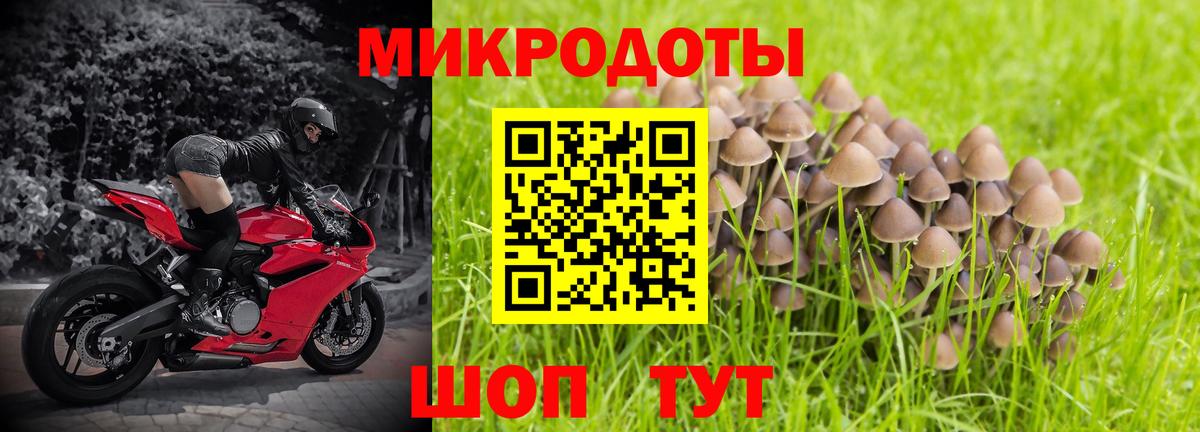 Орехово-Зуево  Галлюциногенные грибы Cubensis  Вход с VPN 
