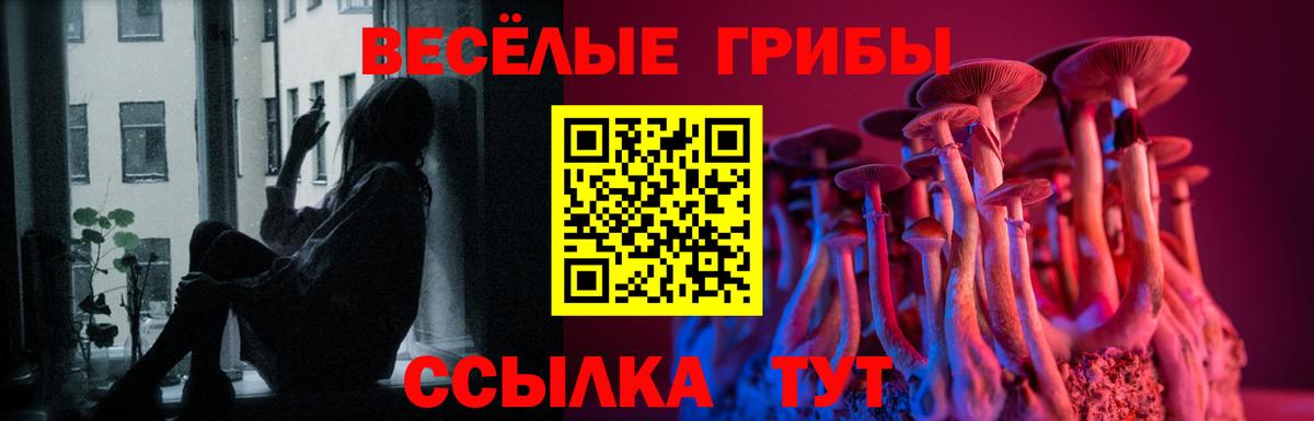 Галлюциногенные грибы Cubensis Орехово-Зуево